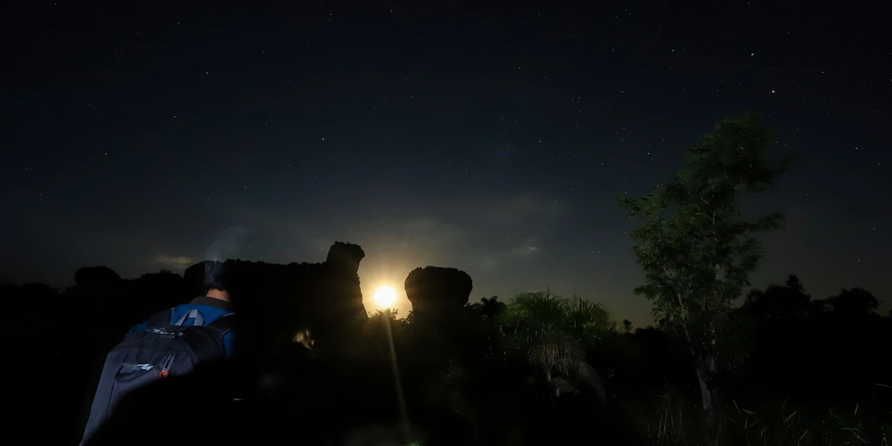 Paraná recebe chuva de meteoros esta noite; saiba onde observar