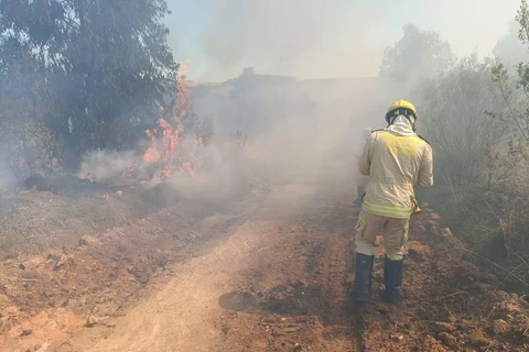 Divulgação/Corpo de Bombeiros