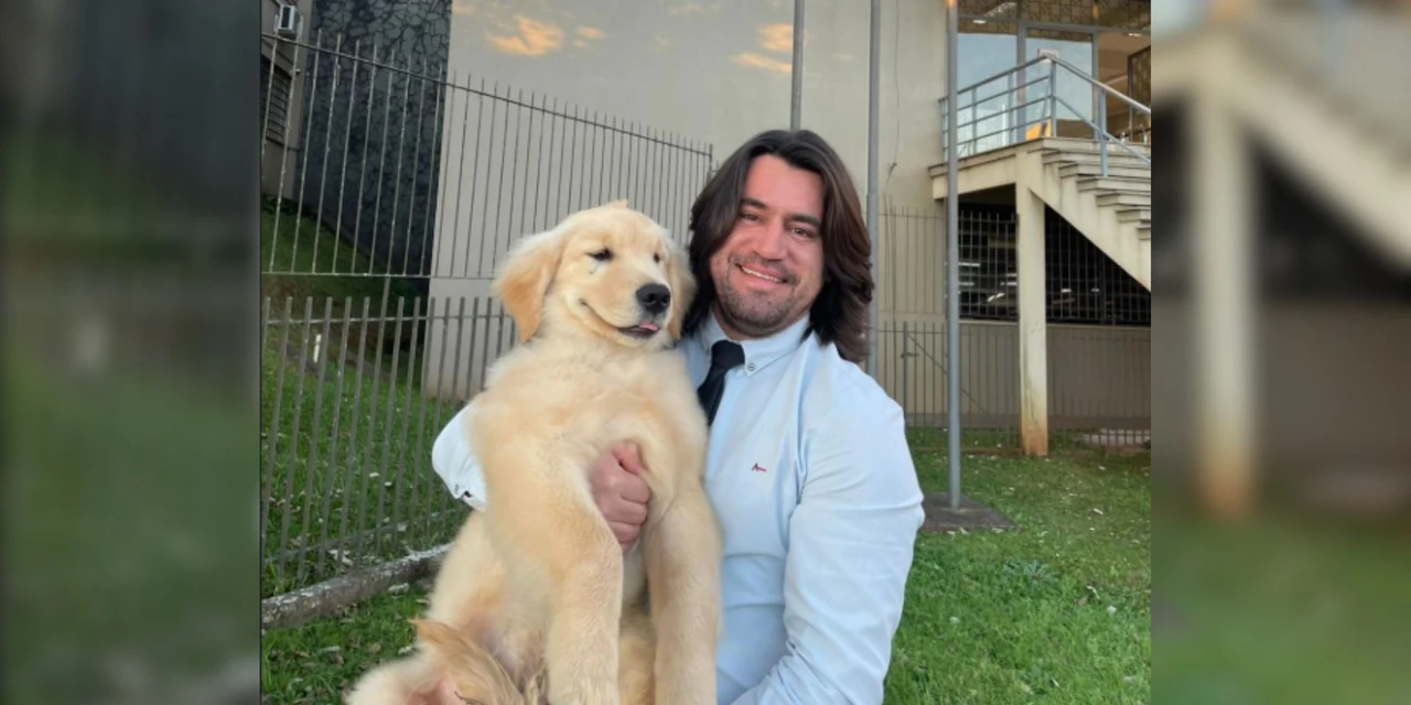Justiça oficializa Teddy como primeiro cão de assistência judiciária de Ponta Grossa