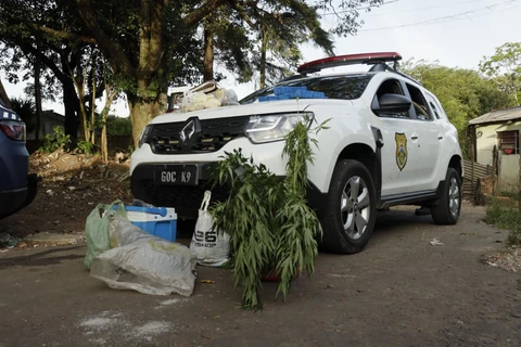 Foto: Reinaldo Marcondes/D'Ponta News