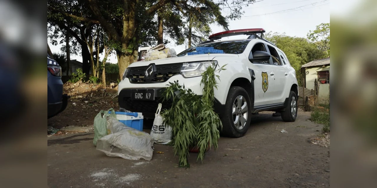 GCM encontra mais de 17kg de drogas e entorpecentes em área de mata no 'Boa Vista' em PG; veja imagens