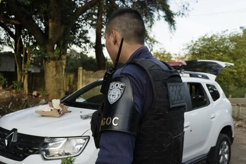 Foto: Reinaldo Marcondes/D'Ponta News