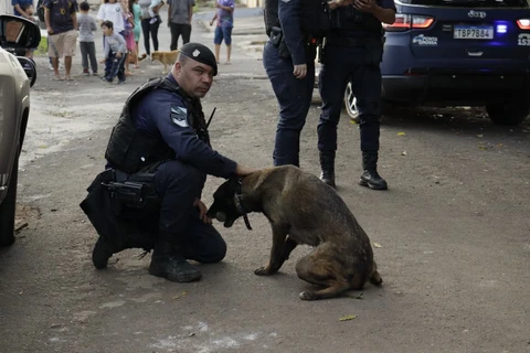 Foto: Reinaldo Marcondes/D'Ponta News
