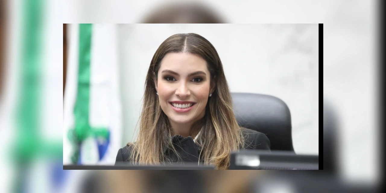 Deputada Maria Victoria propõe incentivos ao uso do metano para geração de energia limpa no Paraná