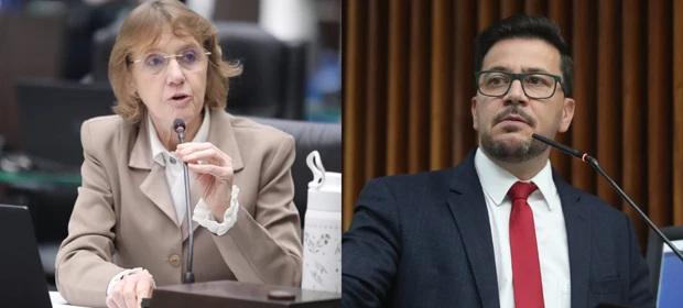 Parlamentares pedem garantia de repasses para APAEs e diálogo sobre política de educação especial