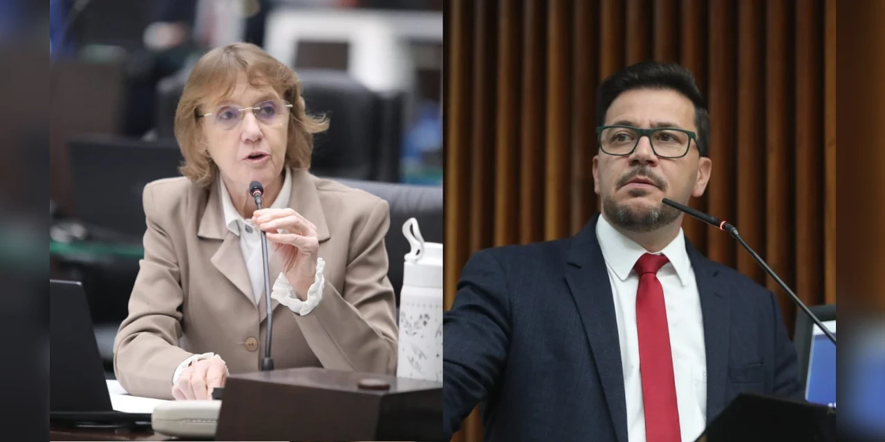 Parlamentares pedem garantia de repasses para APAEs e diálogo sobre política de educação especial