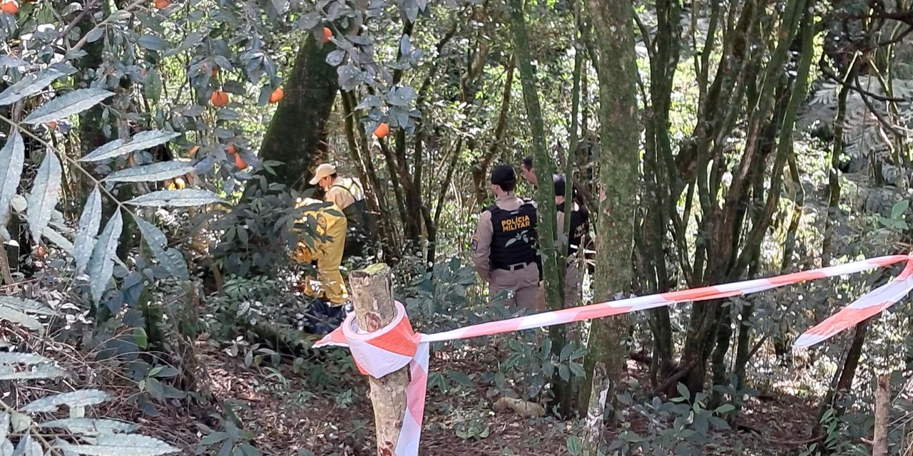 Ossada encontrada no Jardim Carvalho ainda segue sendo um mistério