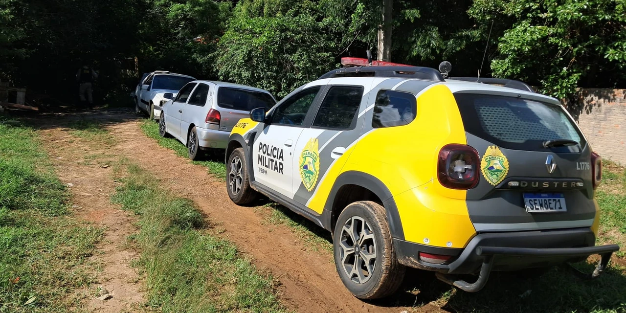 Corpo em decomposição é encontrado em córrego na região de Oficinas; veja fotos