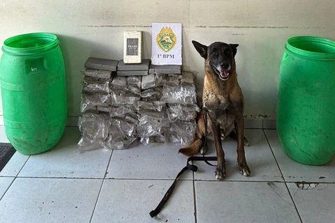 capia-de-design-sem-nome-19