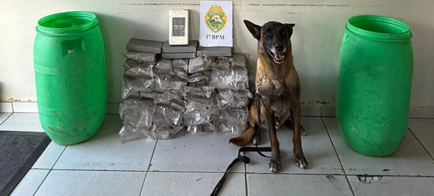 Polícia apreende mais de 50 kg de drogas em Ponta Grossa
