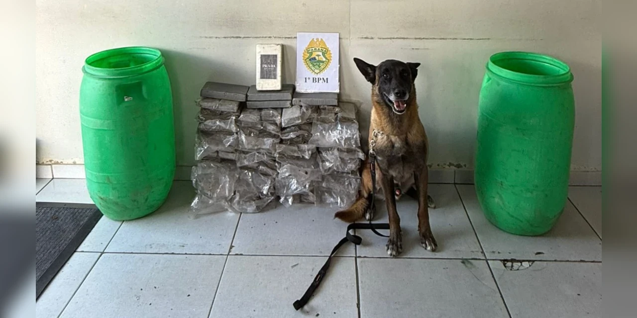 Polícia apreende mais de 50 kg de drogas em Ponta Grossa