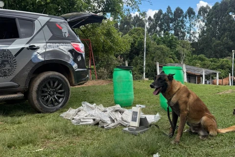 capia-de-design-sem-nome-18