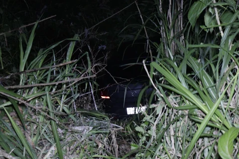 Reinaldo Marcondes / D'Ponta News