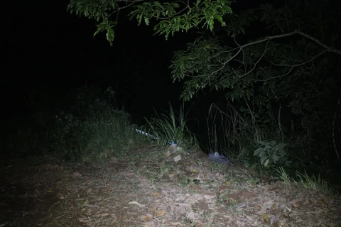 Reinaldo Marcondes / D'Ponta News