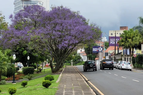 Gangorra do tempo: temperaturas voltam a baixar em PG e região