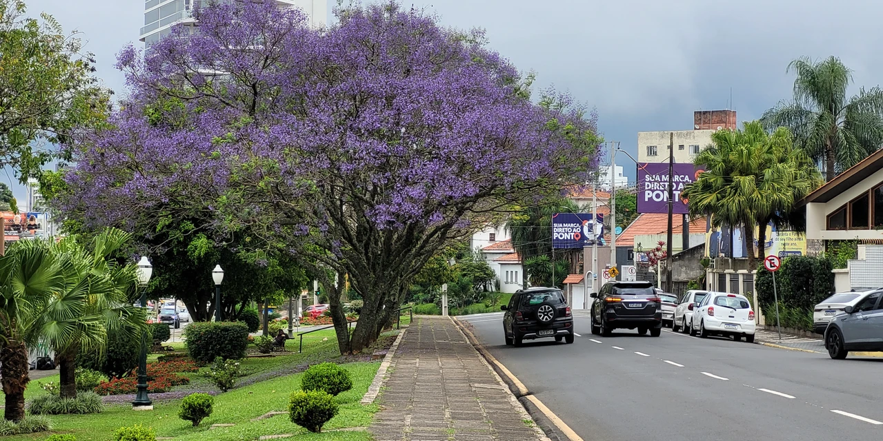 Gangorra do tempo: temperaturas voltam a baixar em PG e região