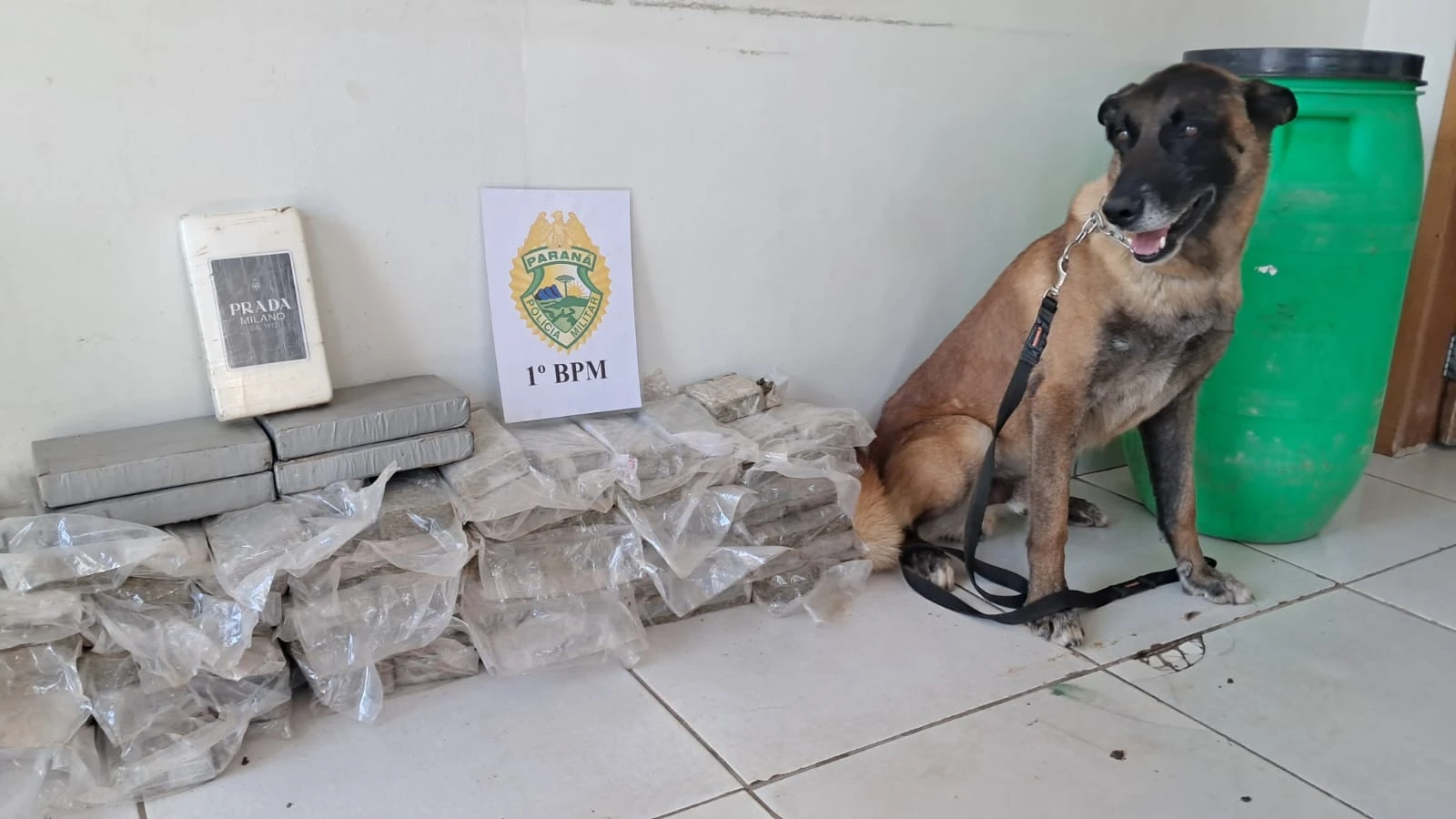 Heryvelton Martins / D'Ponta News