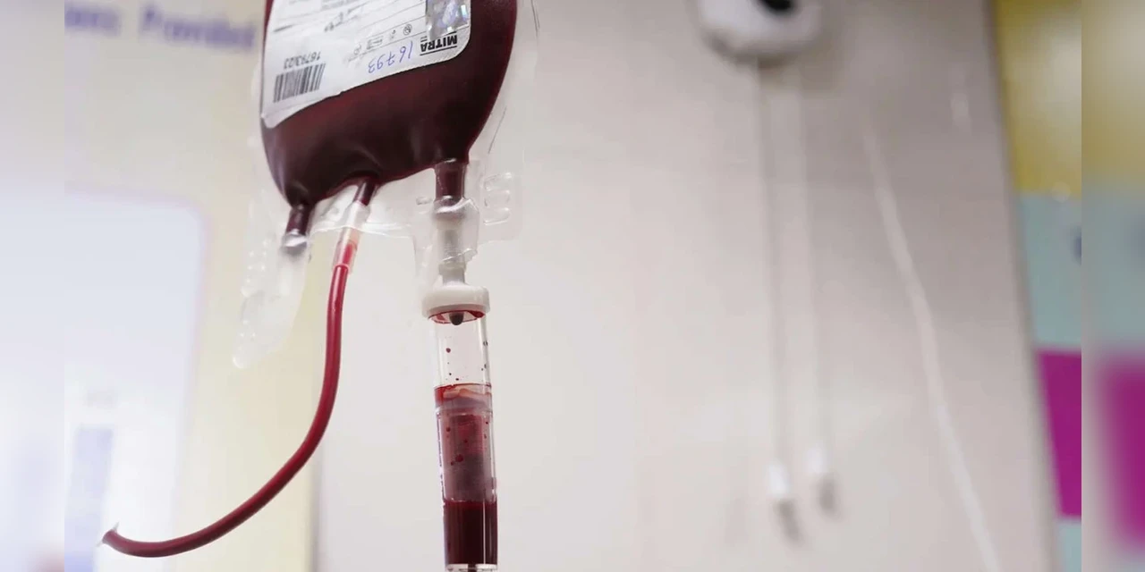 Confira se você possui o tipo sanguíneo com maior longevidade