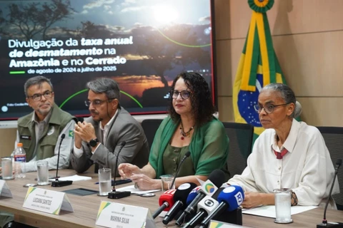 Desmatamento tem redução de 11,08% na Amazônia e 11,49% no Cerrado em 2025