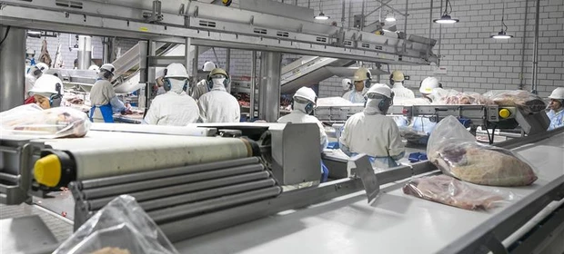 Indústria paranaense abre mais de 2 mil vagas em setembro e mantém trajetória de crescimento