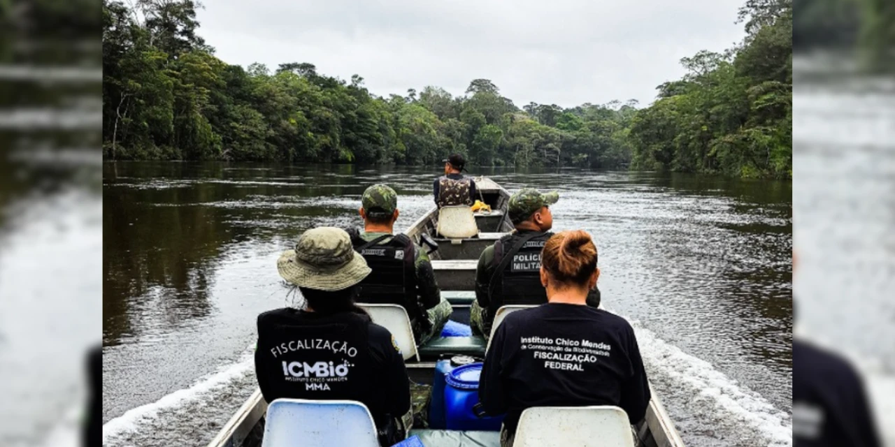 Desmatamento em unidades de conservação da Amazônia apresenta queda expressiva