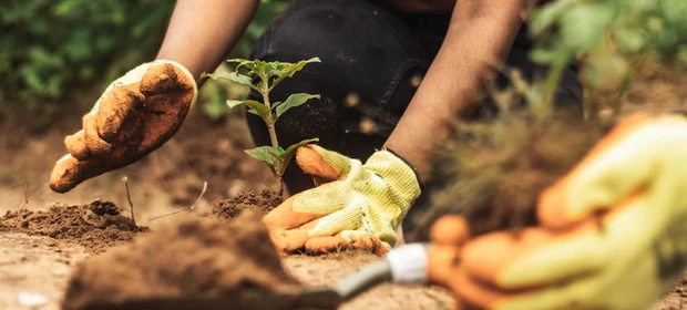 Mapa lidera ações globais contra a crise climática na COP 30