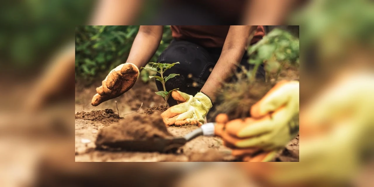Mapa lidera ações globais contra a crise climática na COP 30