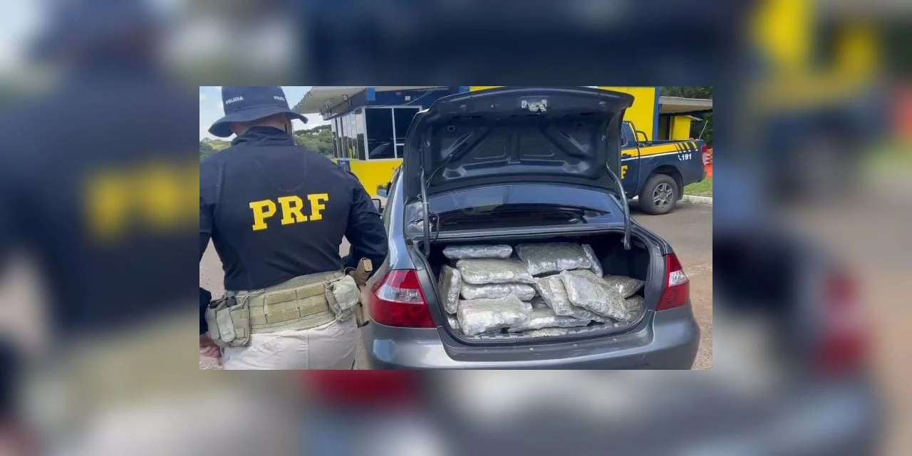 PRF prende homem que transportava 120kg de drogas para Ponta Grossa na BR-277