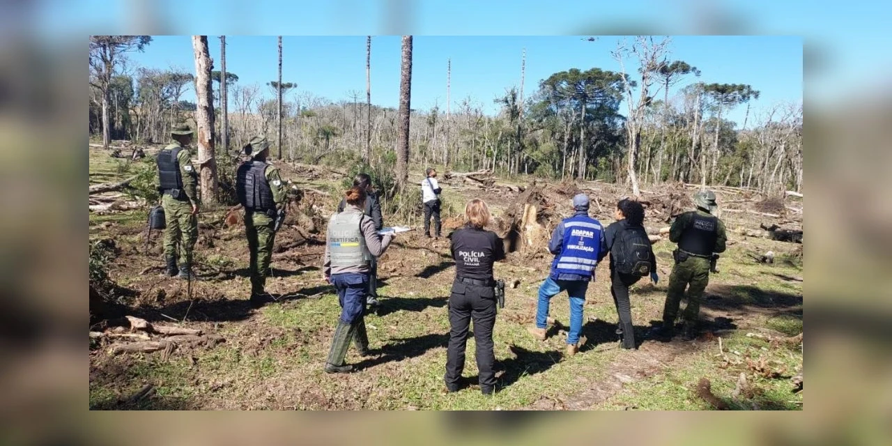 Operação prende homem por crimes ambientais e trabalho análogo à escravidão na região