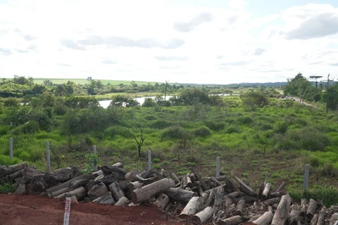 Reinaldo Marcondes / D'Ponta News