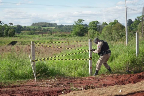 Reinaldo Marcondes / D'Ponta News