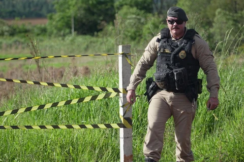 Reinaldo Marcondes / D'Ponta News