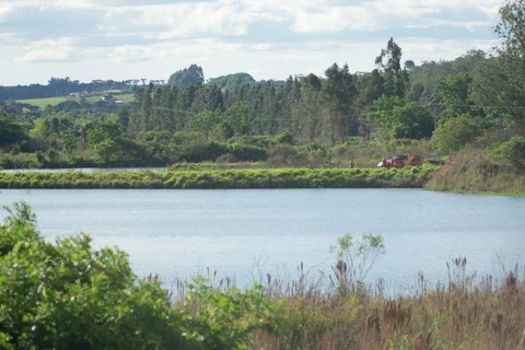 Reinaldo Marcondes / D'Ponta News