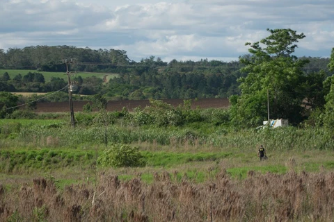 Reinaldo Marcondes / D'Ponta News