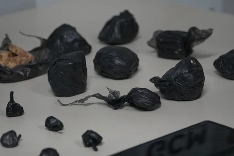 Foto: Ricardo Marcondes/D'Ponta News