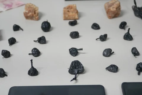 Foto: Ricardo Marcondes/D'Ponta News