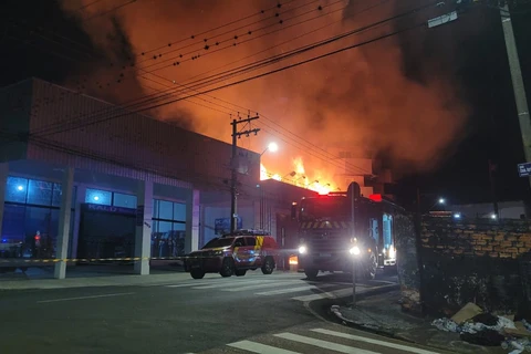 imagem-do-whatsapp-de-2025-11-09-a-s-235350f8dfee58