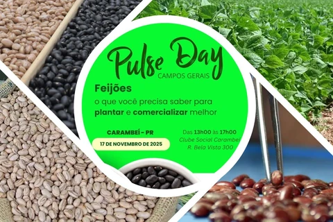 Foto: Toninho Anhaia