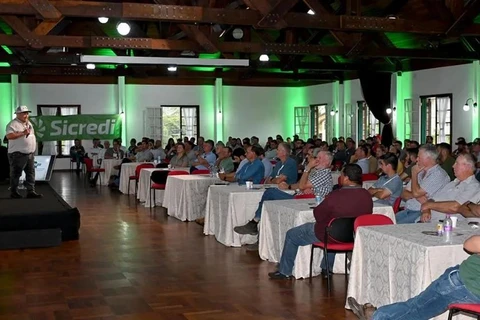 Foto: Toninho Anhaia