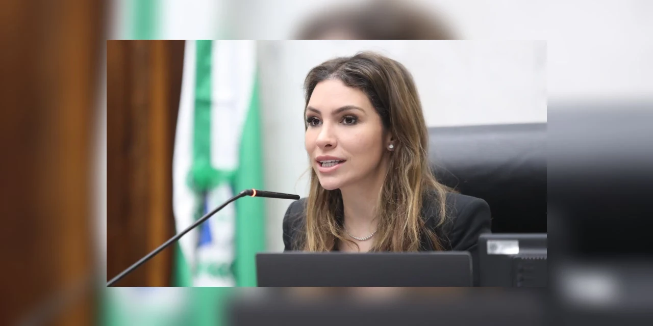 Deputada Maria Victoria ressalta importância de projeto de lei que usa IA para prevenir desastres climáticos