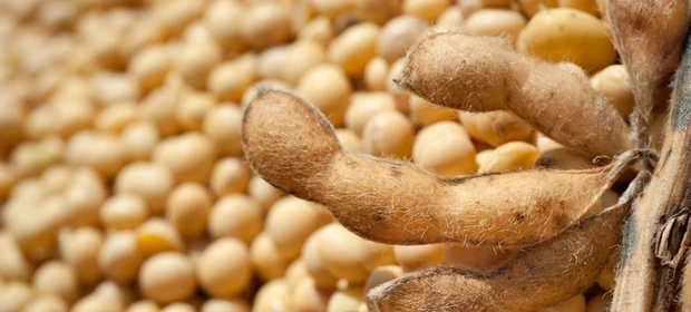 Exportações do agro somam US$ 15,49 bilhões em outubro e batem recorde histórico