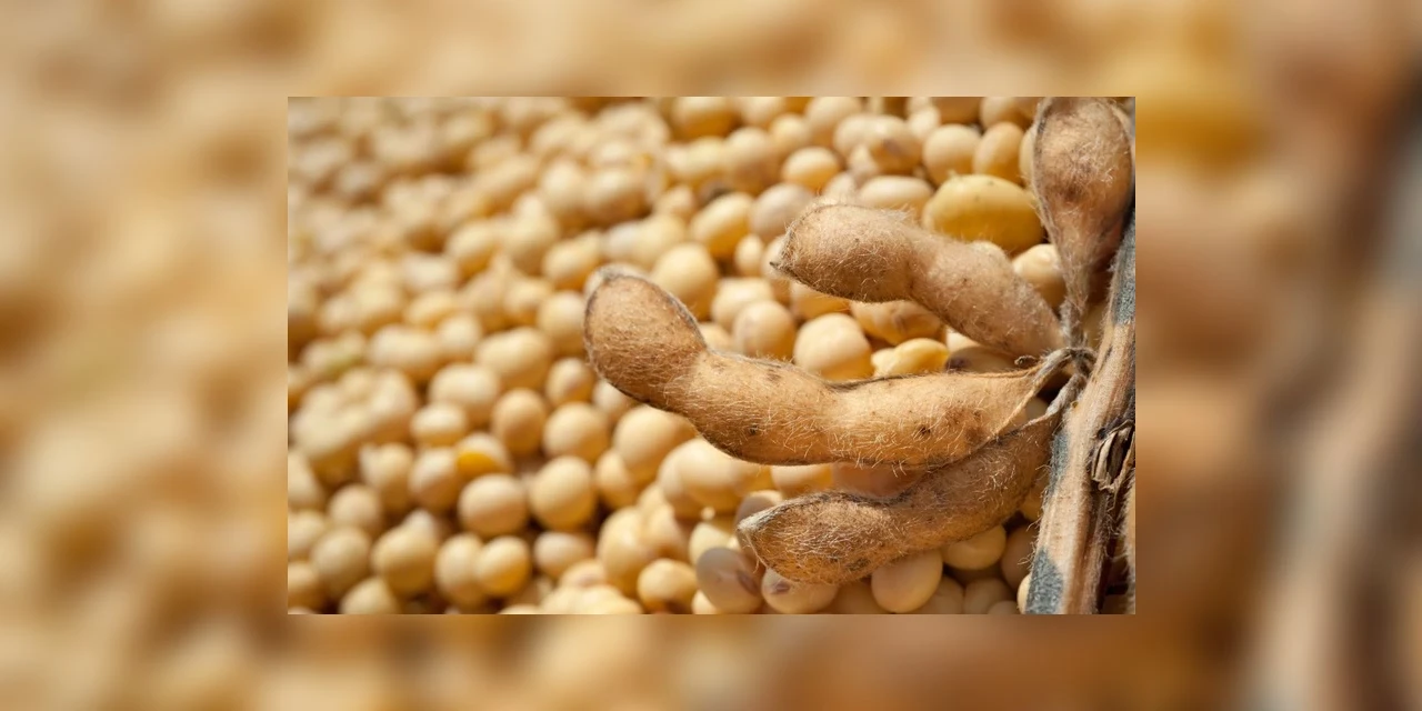 Exportações do agro somam US$ 15,49 bilhões em outubro e batem recorde histórico