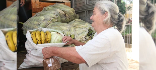 Feira Verde: confira os pontos desta segunda-feira