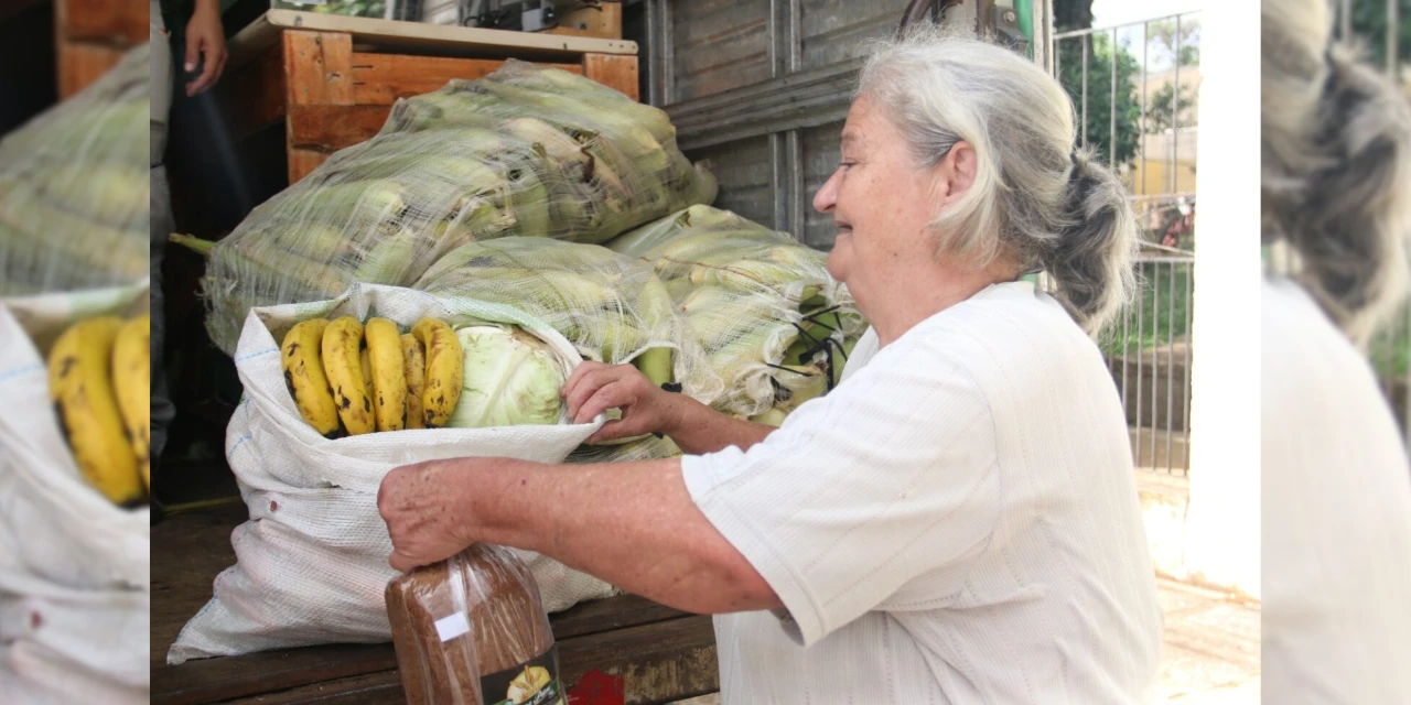 Feira Verde: confira os pontos desta segunda-feira