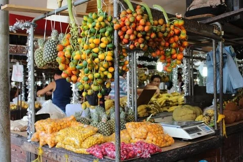 Artigo: 'Ei, Merz, vai tomar ....', por Oliveiros Marques