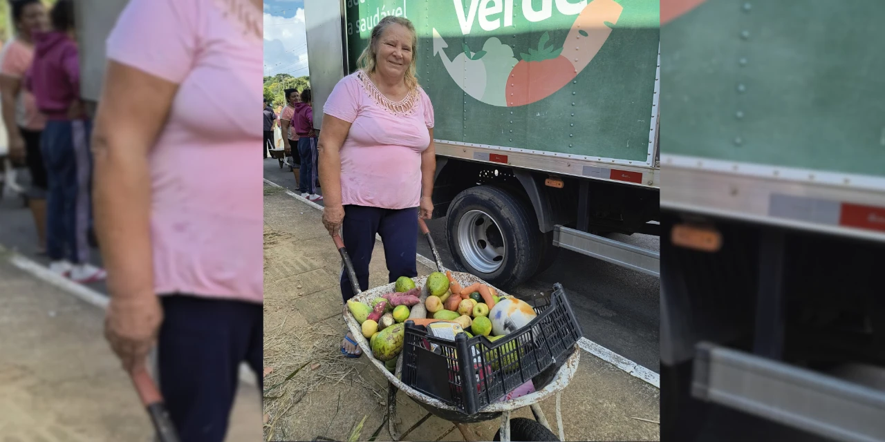 Feira Verde: confira os locais desta quarta-feira