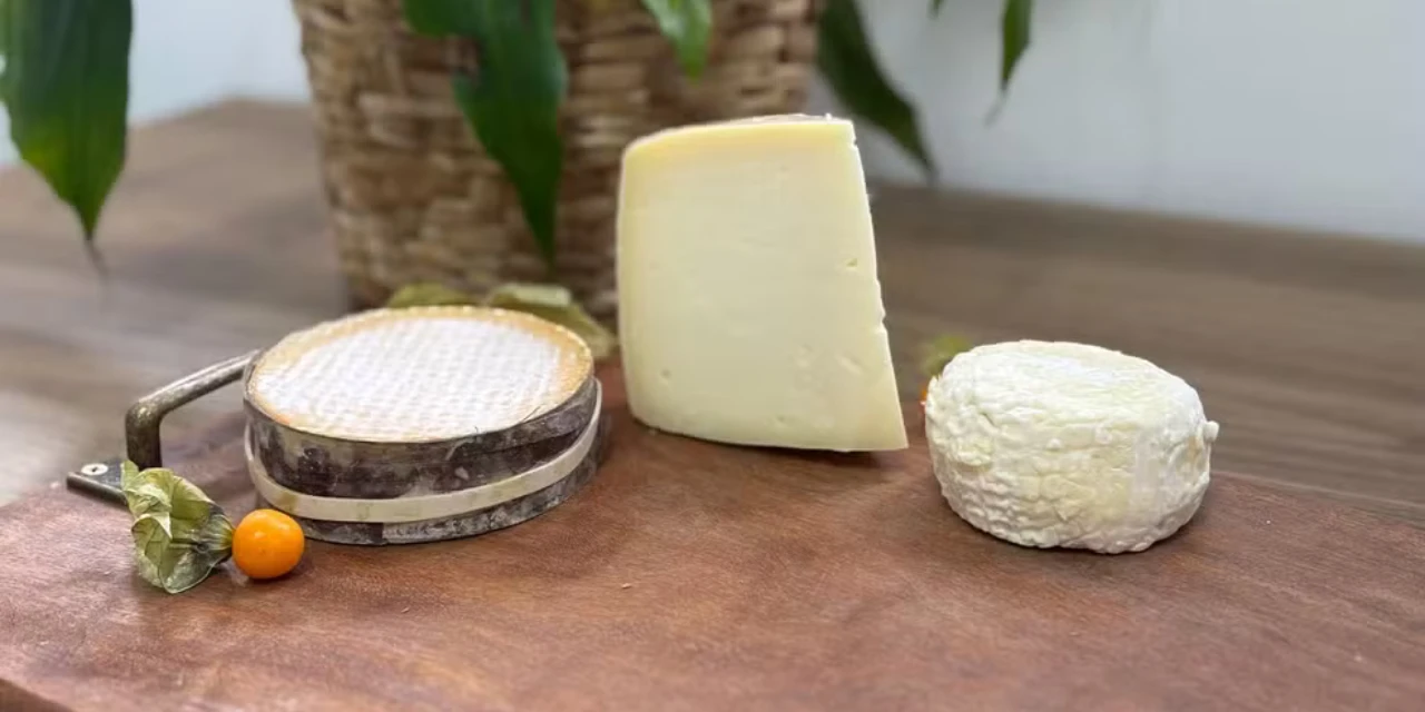 Queijos de Toledo conquistam medalhas no World Cheese Awards 2025, na Suíça