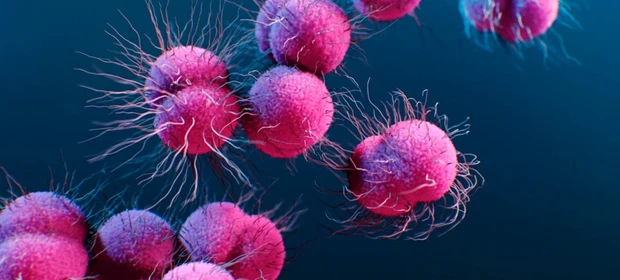 Gonorreia preocupa OMS após avanço acelerado da resistência a antibióticos