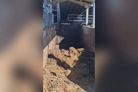 Foto: Divulgação/Corpo de Bombeiros