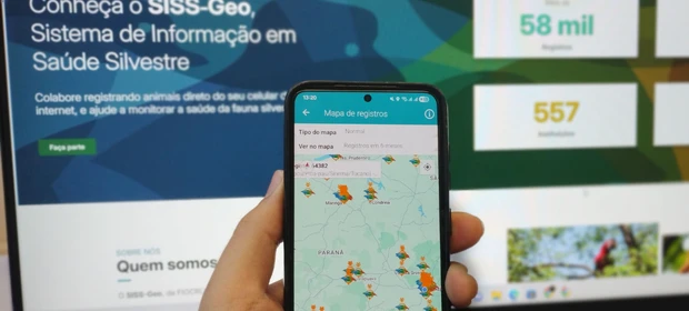 Paraná se destaca no uso de tecnologia de vigilância e mantém cenário sem casos de febre amarela em humanos